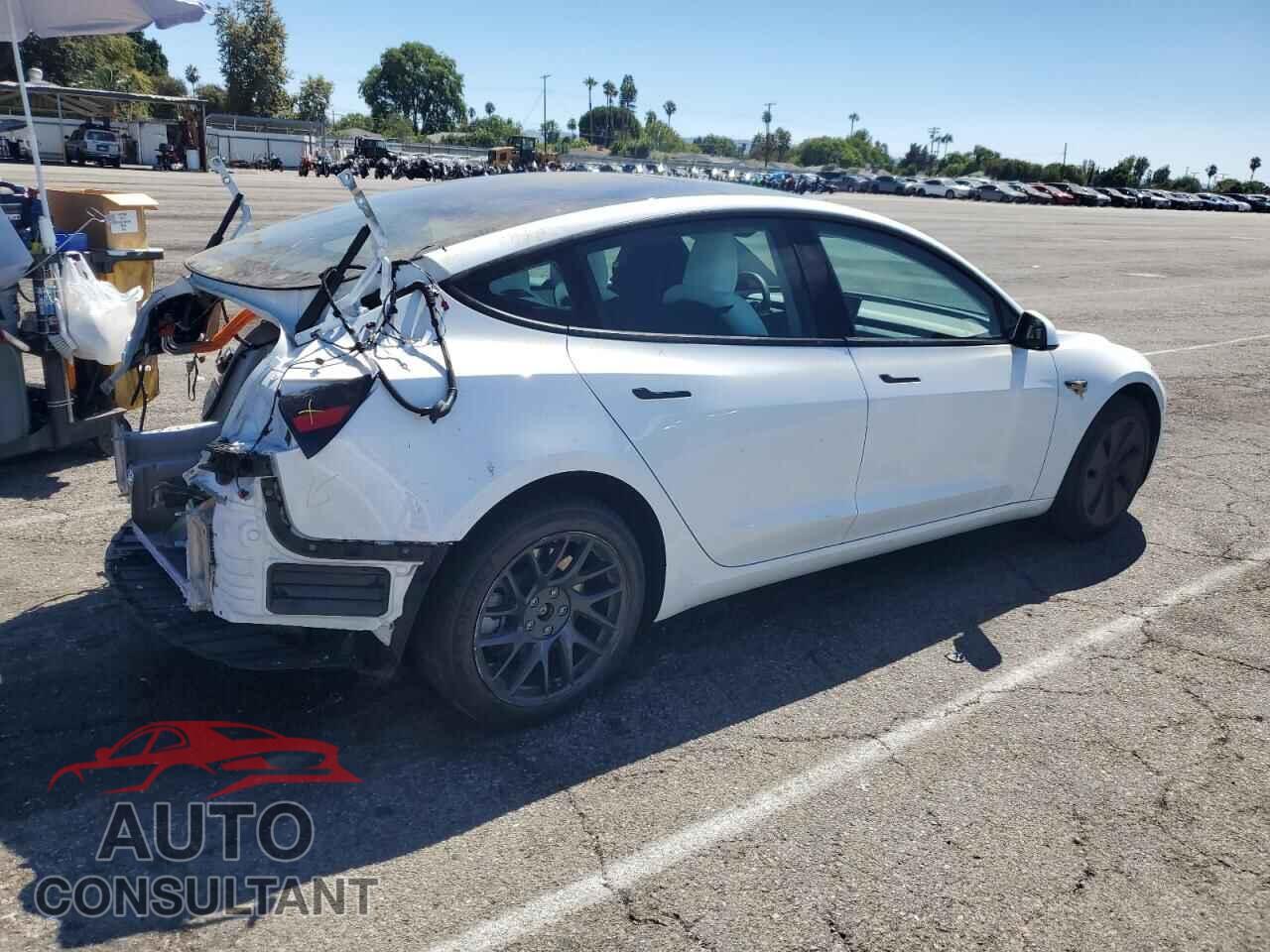 TESLA MODEL 3 2024 - 5YJ3E1EA4RF849701