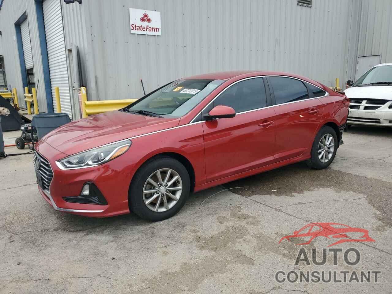 HYUNDAI SONATA 2019 - 5NPE24AF4KH785235