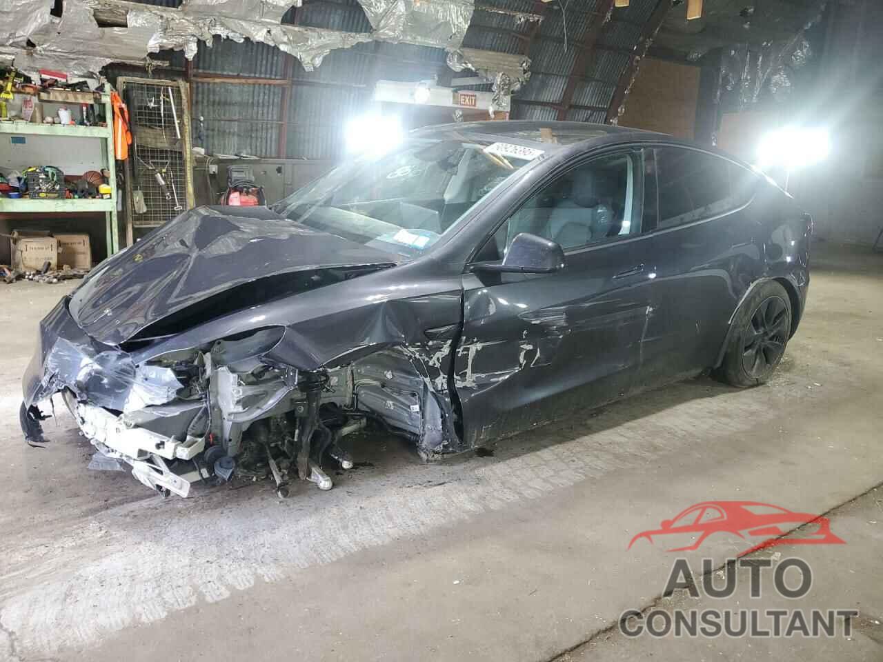 TESLA MODEL Y 2024 - 7SAYGDEE4RF154576