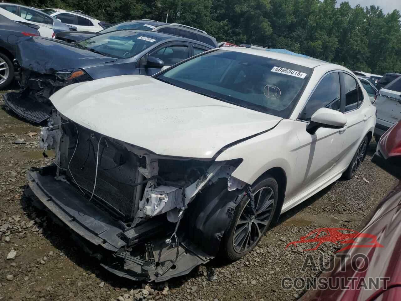 TOYOTA CAMRY 2019 - 4T1B11HK3KU163945