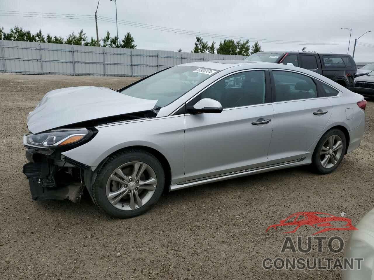 HYUNDAI SONATA 2019 - 5NPE34AF7KH756289