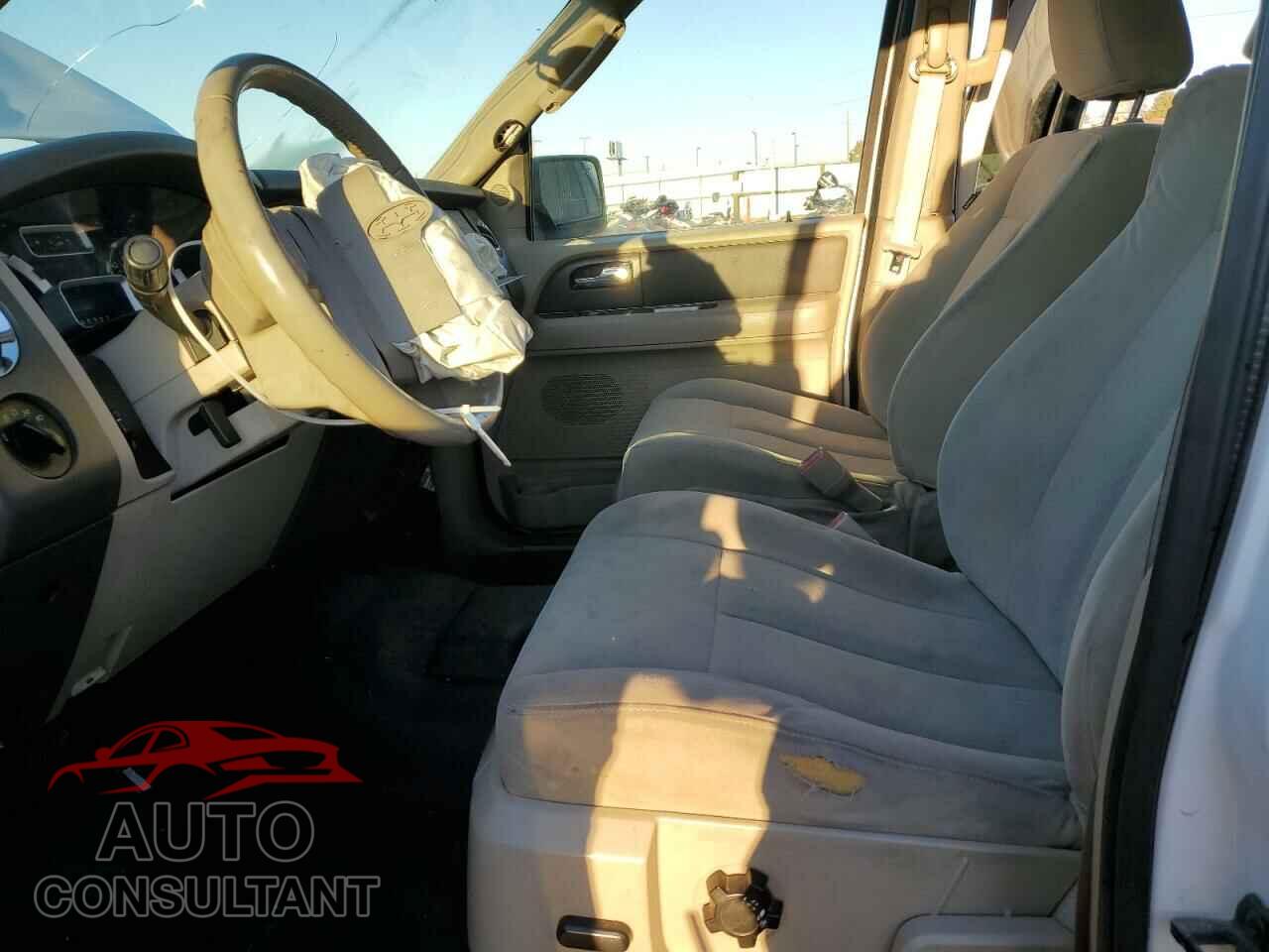 FORD EXPEDITION 2009 - 1FMFU16599EA78599