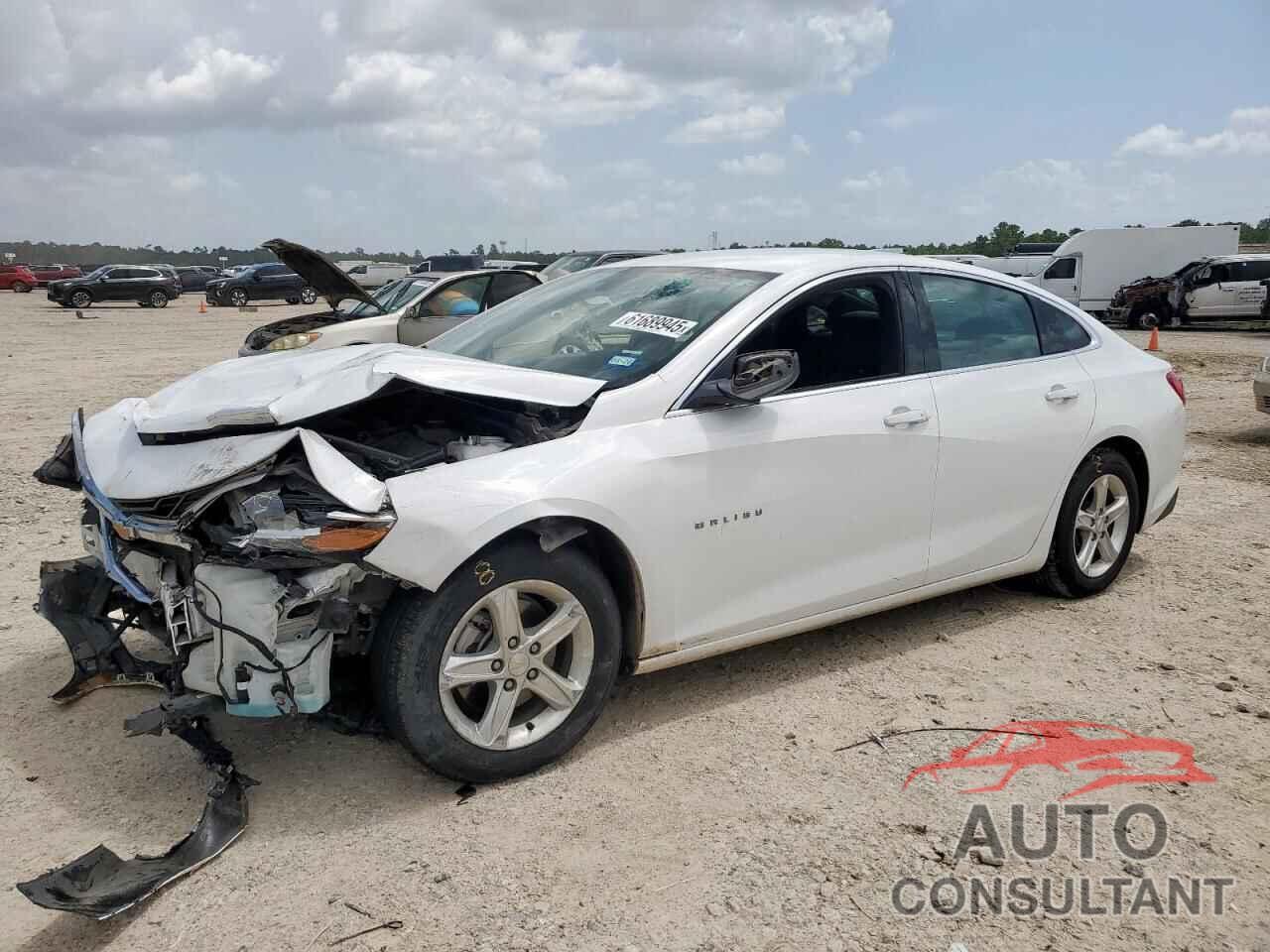 CHEVROLET MALIBU 2020 - 1G1ZB5ST4LF138091