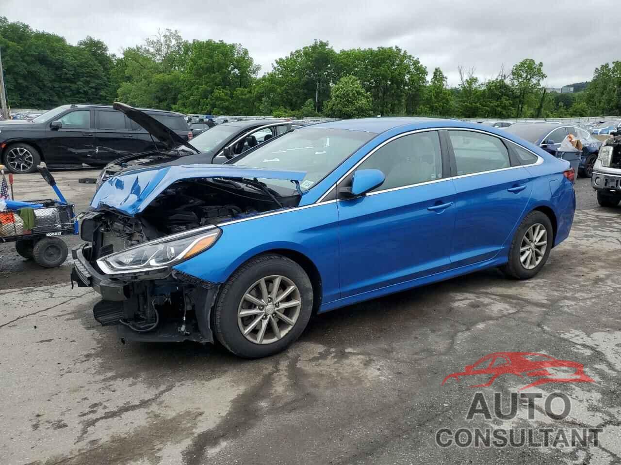 HYUNDAI SONATA 2019 - 5NPE24AFXKH743569