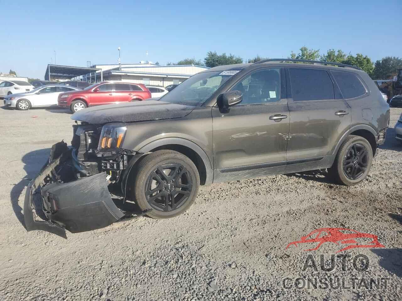 KIA TELLURIDE 2024 - 5XYP5DGC8RG476558
