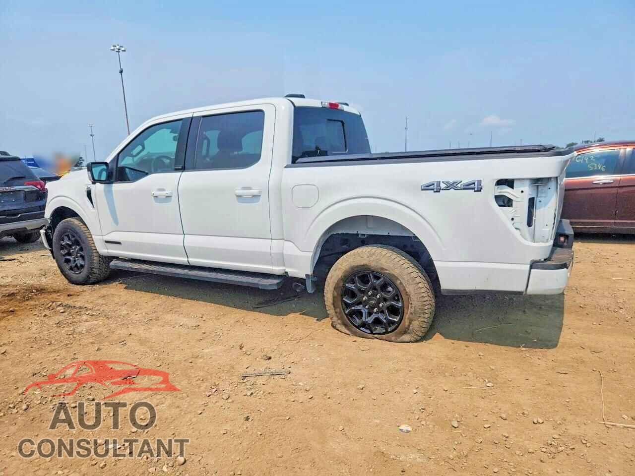 FORD F150 2025 - 1FTFW3LD0SFB15979