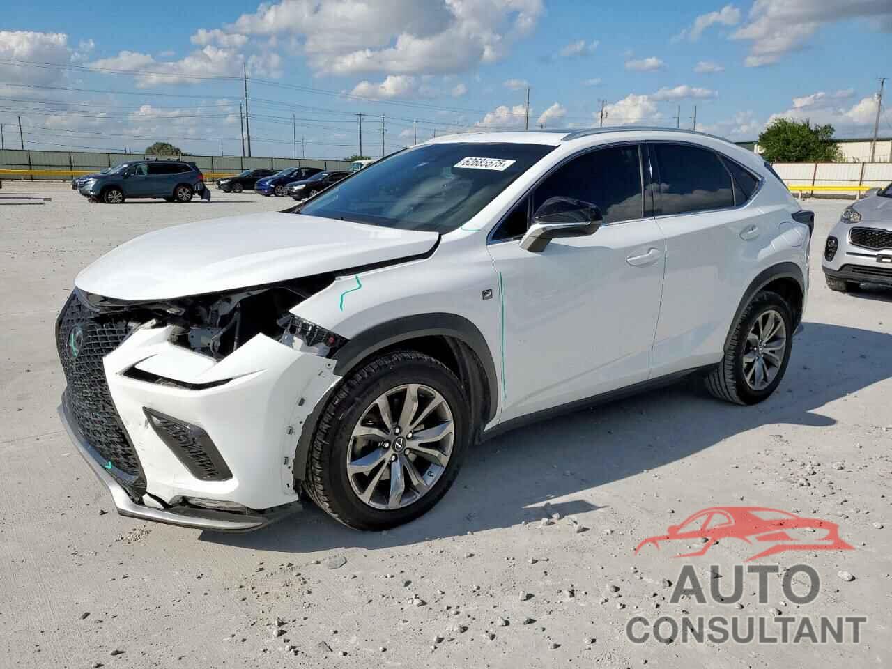 LEXUS NX 2019 - JTJYARBZ1K2138134