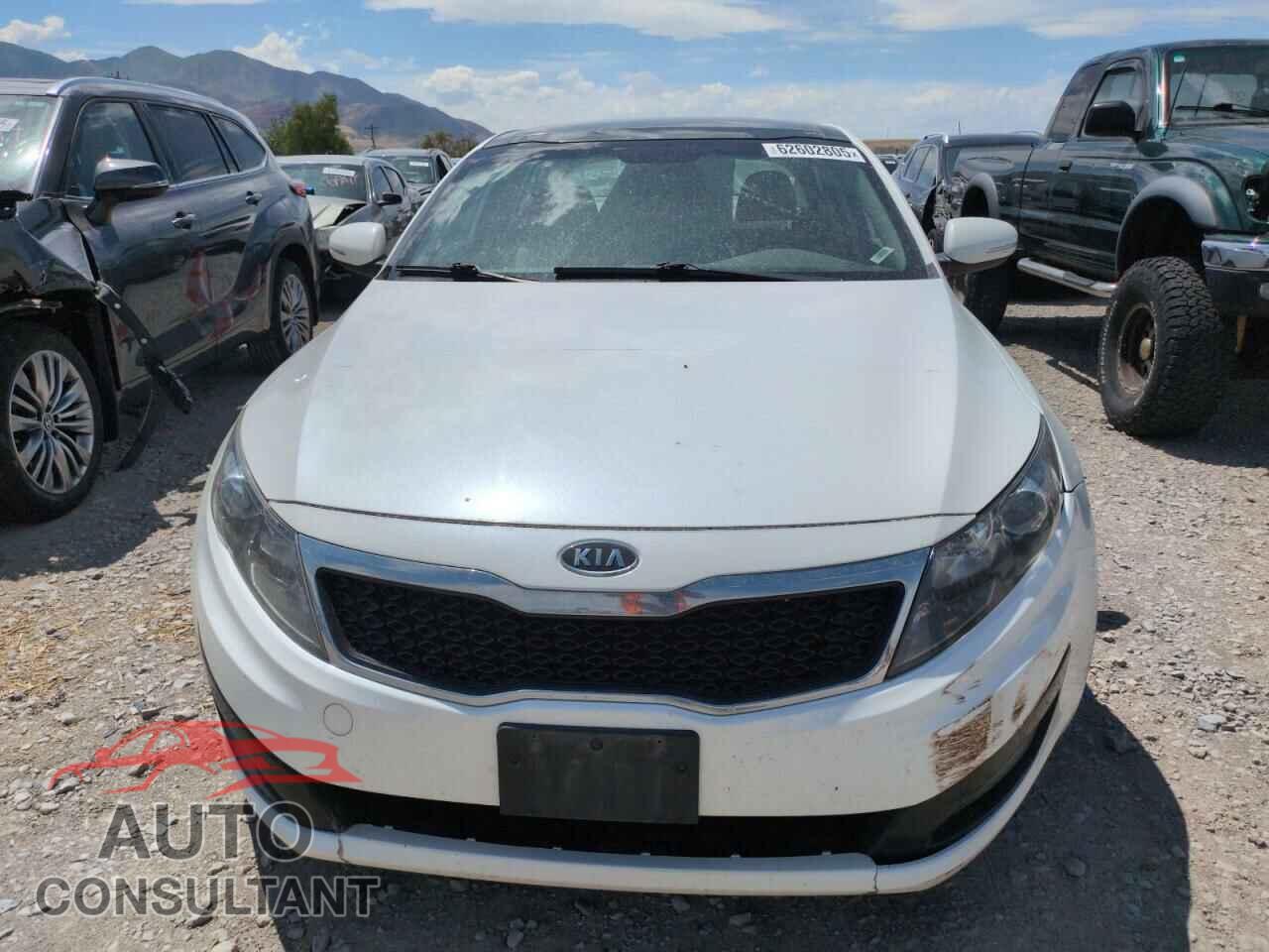 KIA OPTIMA 2011 - KNAGN4A78B5128086