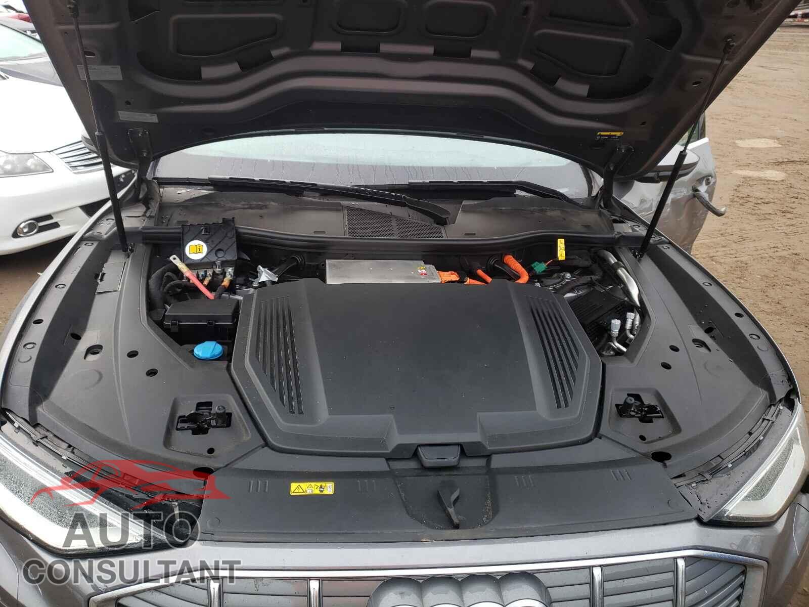 AUDI E-TRON 2019 - WA1VAAGE6KB006476