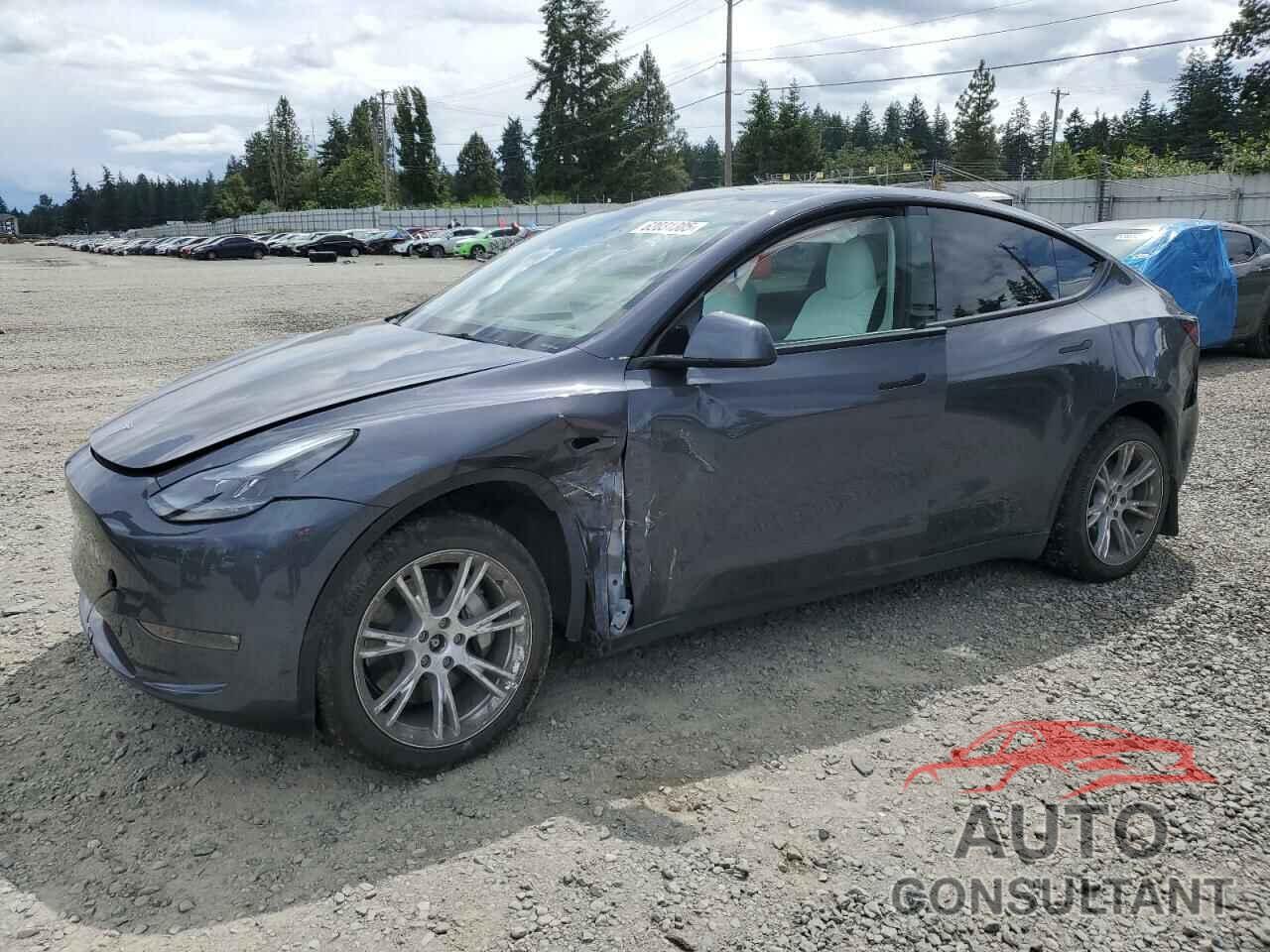 TESLA MODEL Y 2023 - 7SAYGAEE8PF920837