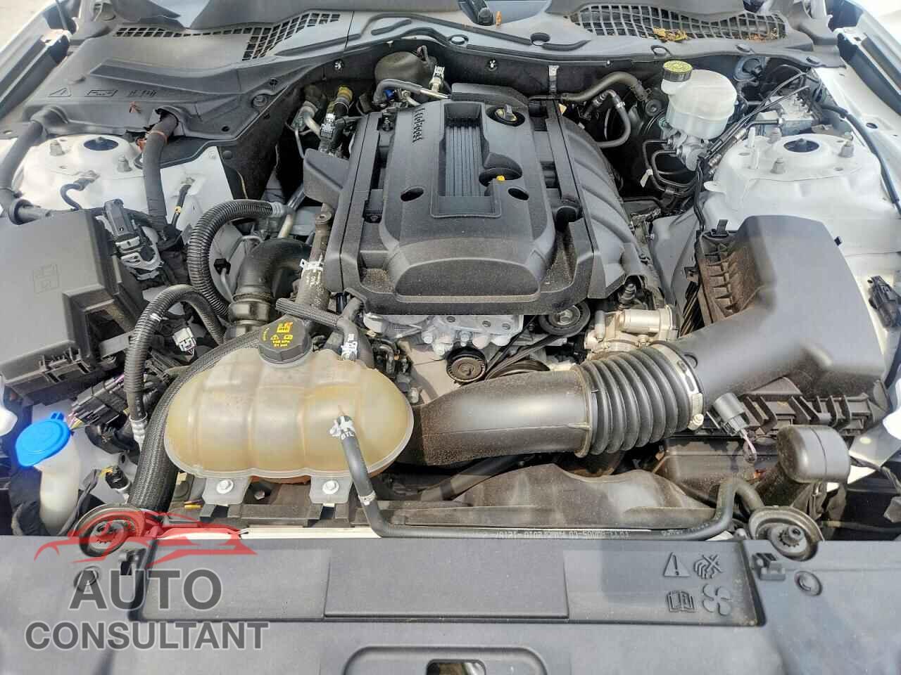 FORD MUSTANG 2020 - 1FA6P8TH1L5168927
