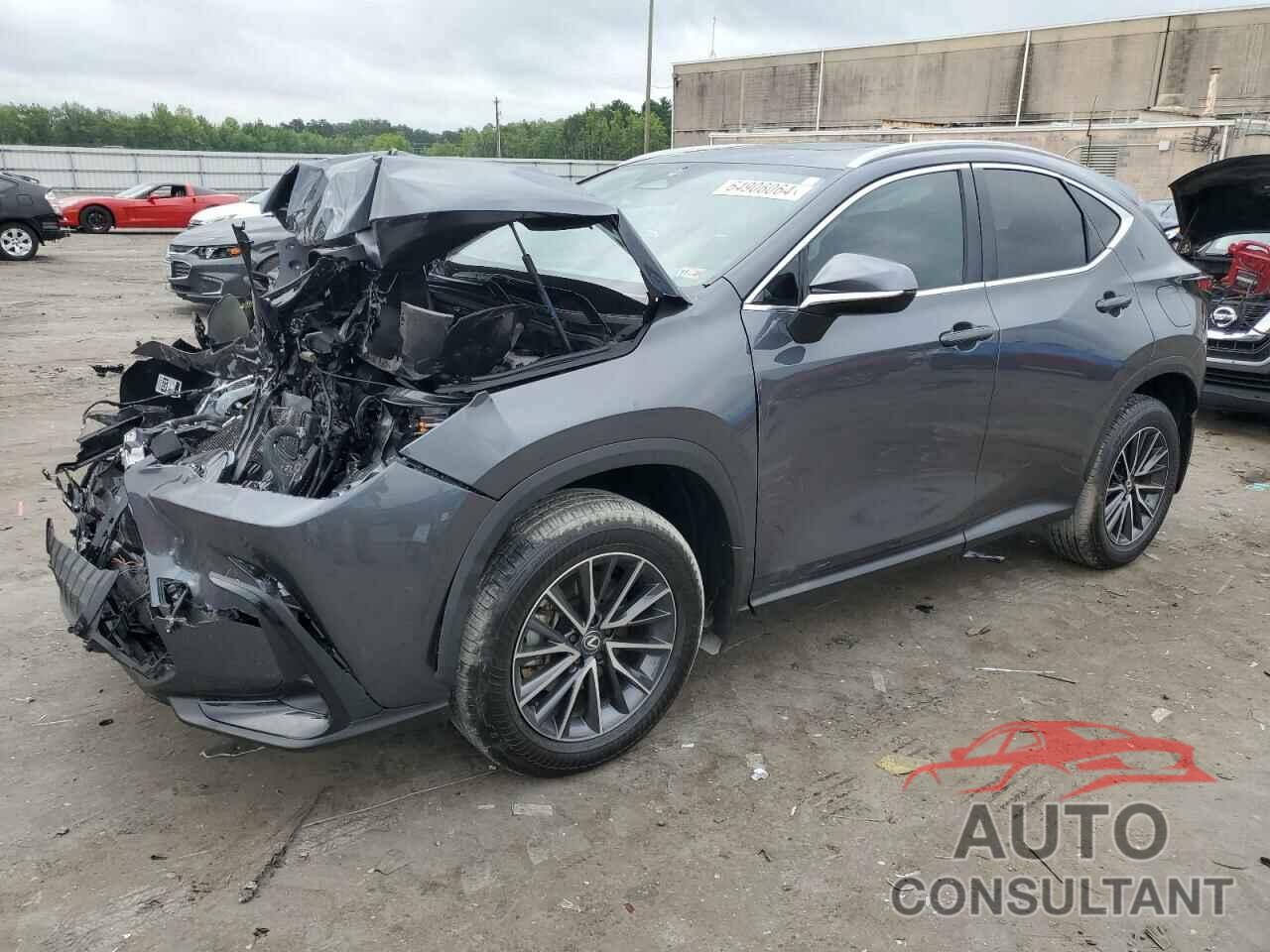 LEXUS NX 350H 2024 - 2T2GKCEZ2RC023473