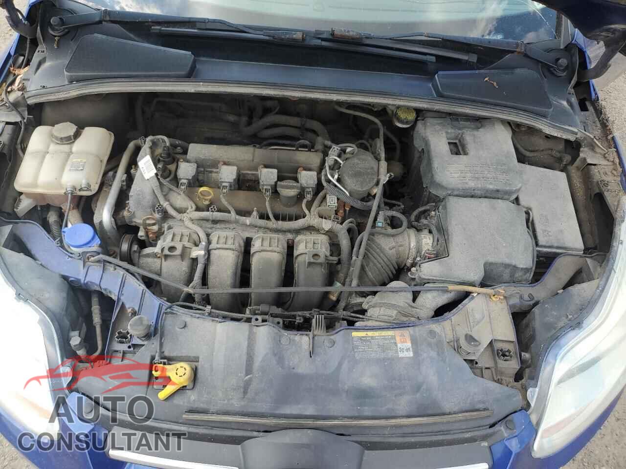 FORD FOCUS 2012 - 1FAHP3F26CL202942