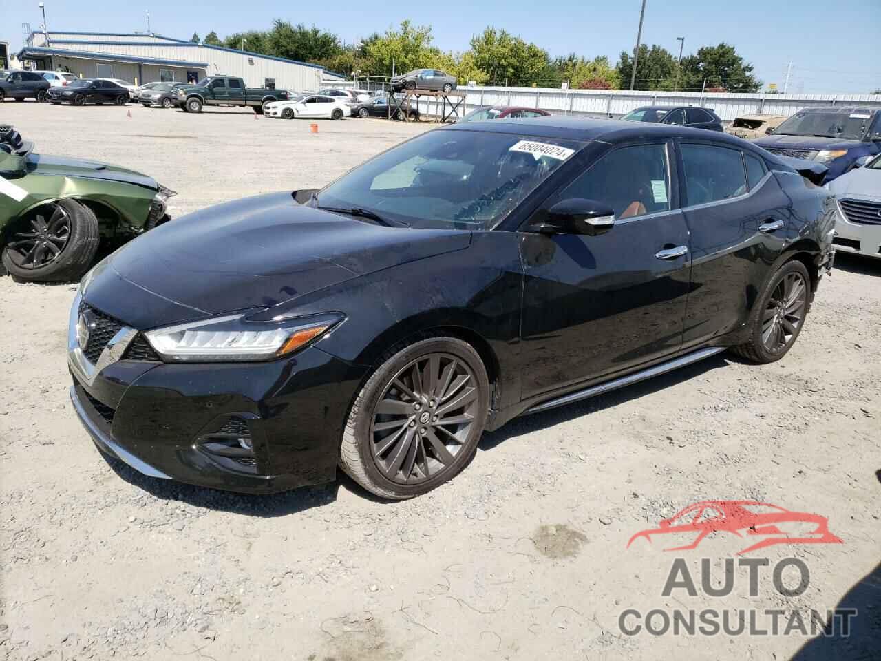 NISSAN MAXIMA 2019 - 1N4AA6AV9KC380882