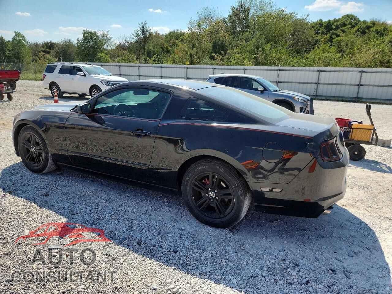 FORD MUSTANG 2014 - 1ZVBP8AMXE5207653