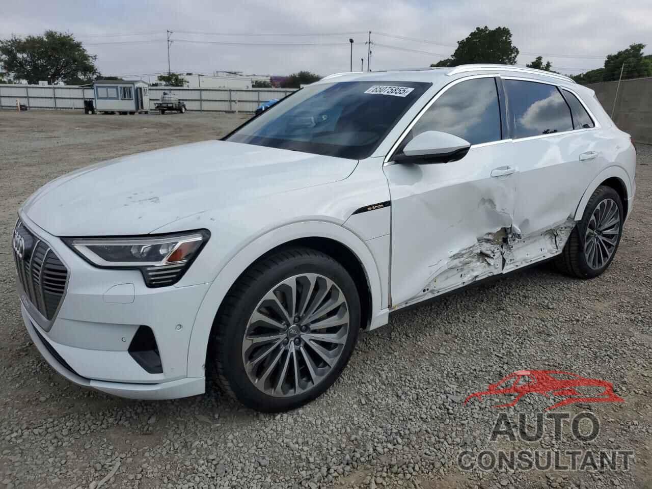 AUDI E-TRON 2019 - WA1VABGE9KB025156