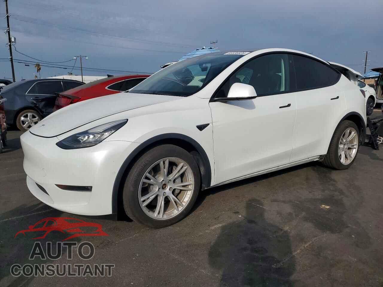 TESLA MODEL Y 2021 - 5YJYGDEE0MF204198