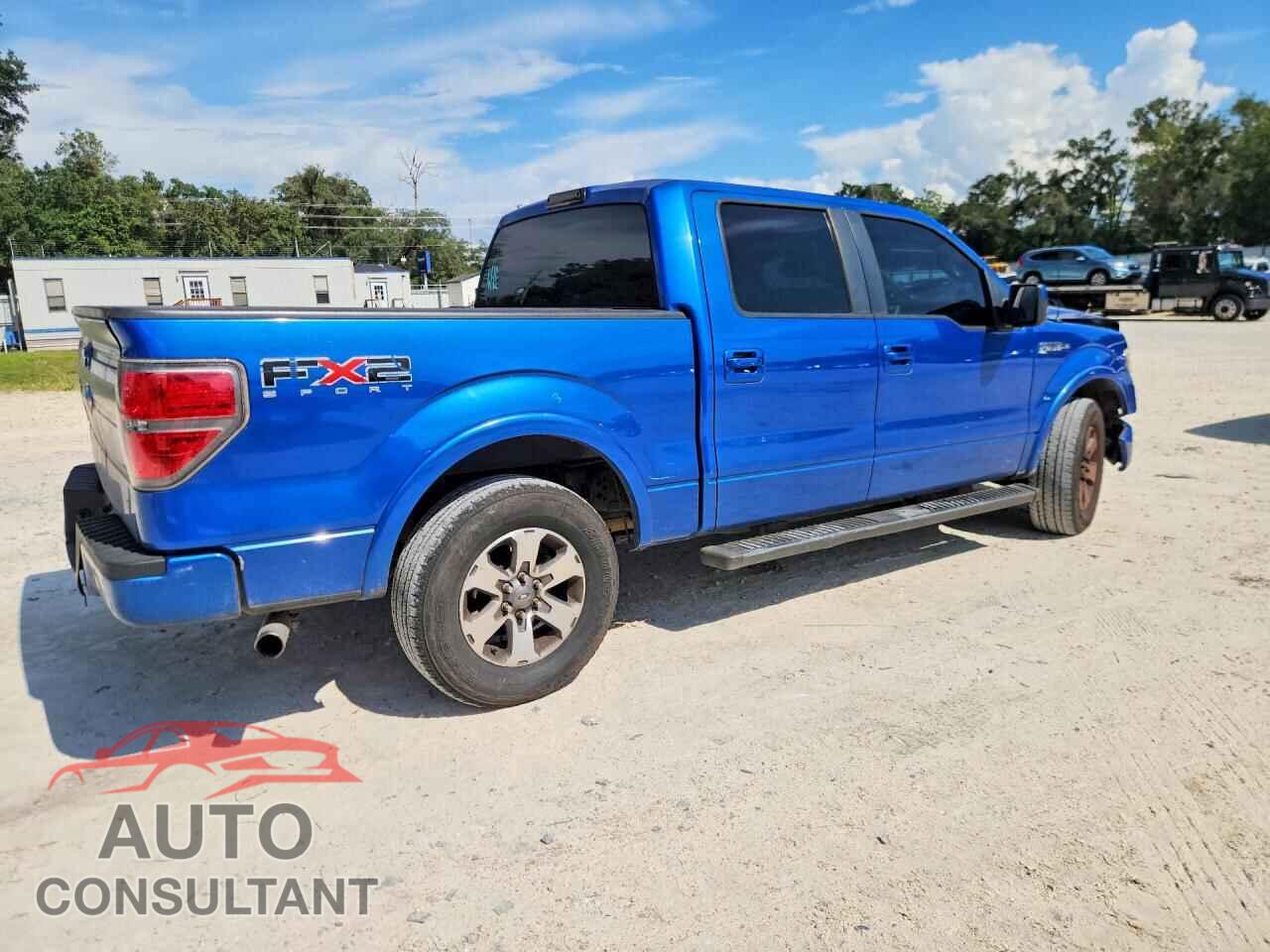 FORD F150 2010 - 1FTEW1C88AKE45328