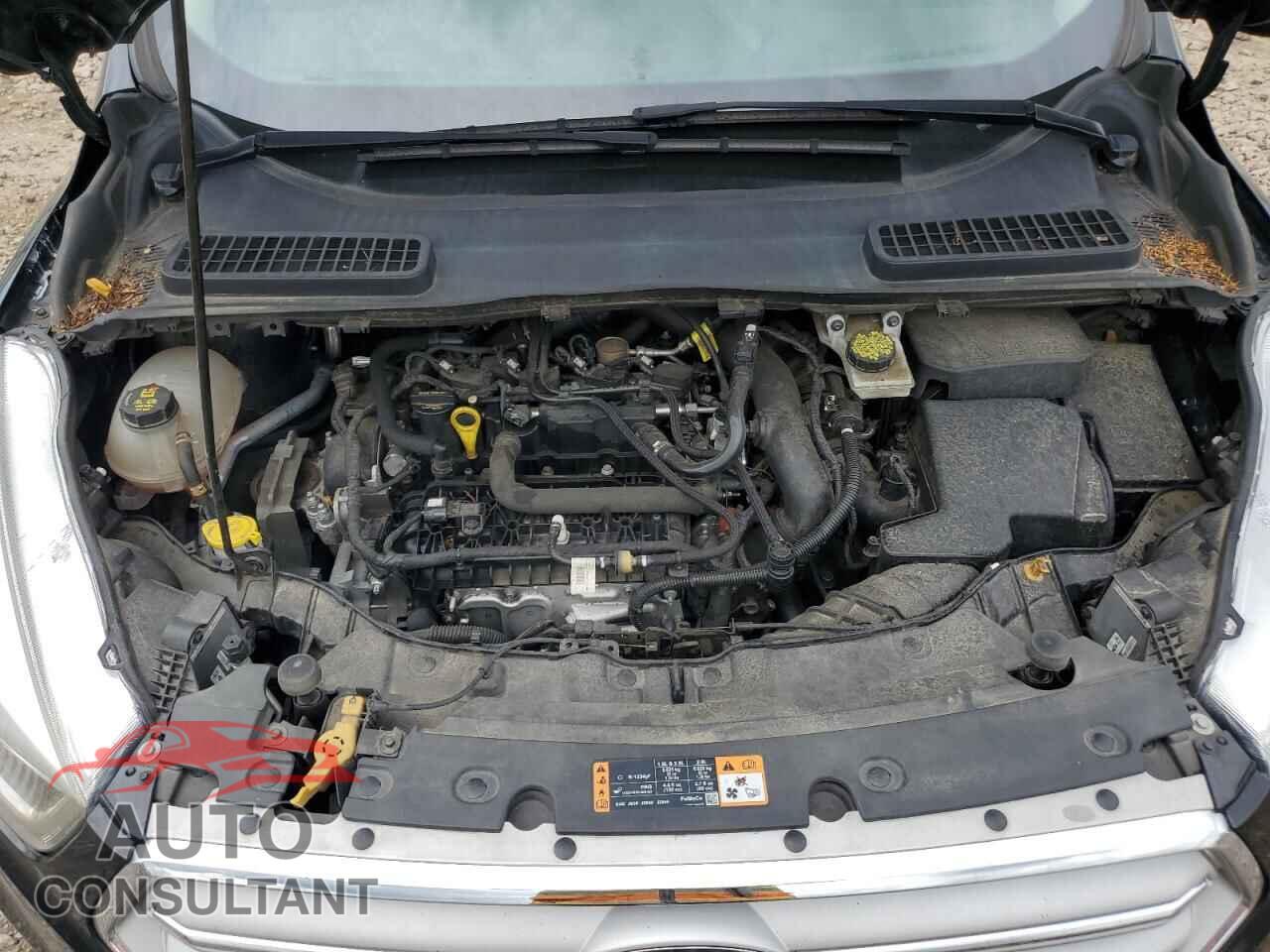 FORD ESCAPE 2019 - 1FMCU0HD1KUC48032