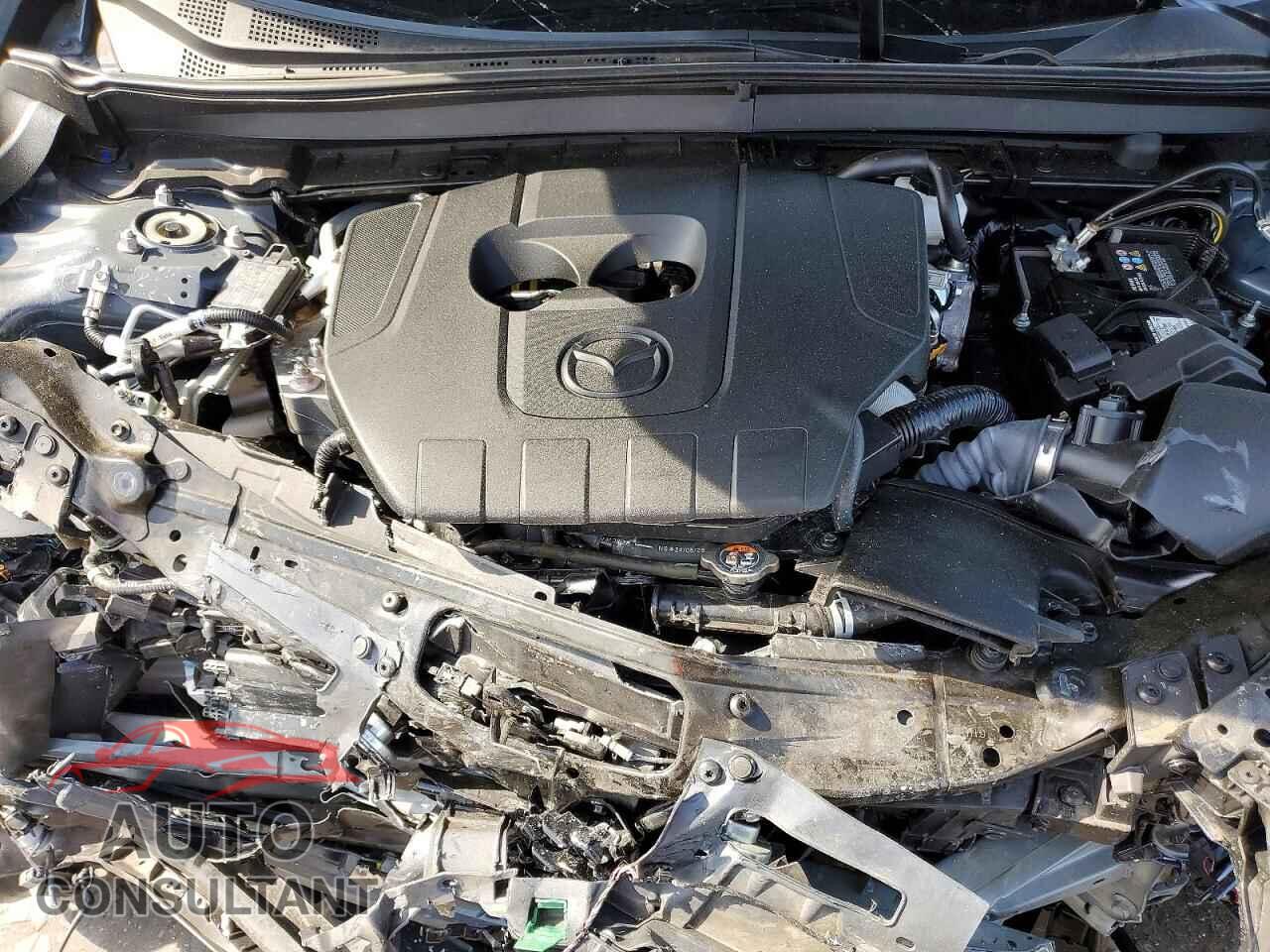 MAZDA CX30 2025 - 3MVDMBCM2SM808218