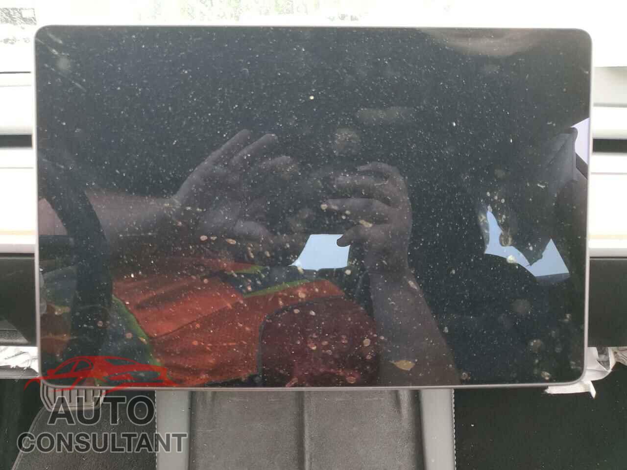 TESLA MODEL 3 2021 - 5YJ3E1EB7MF031459