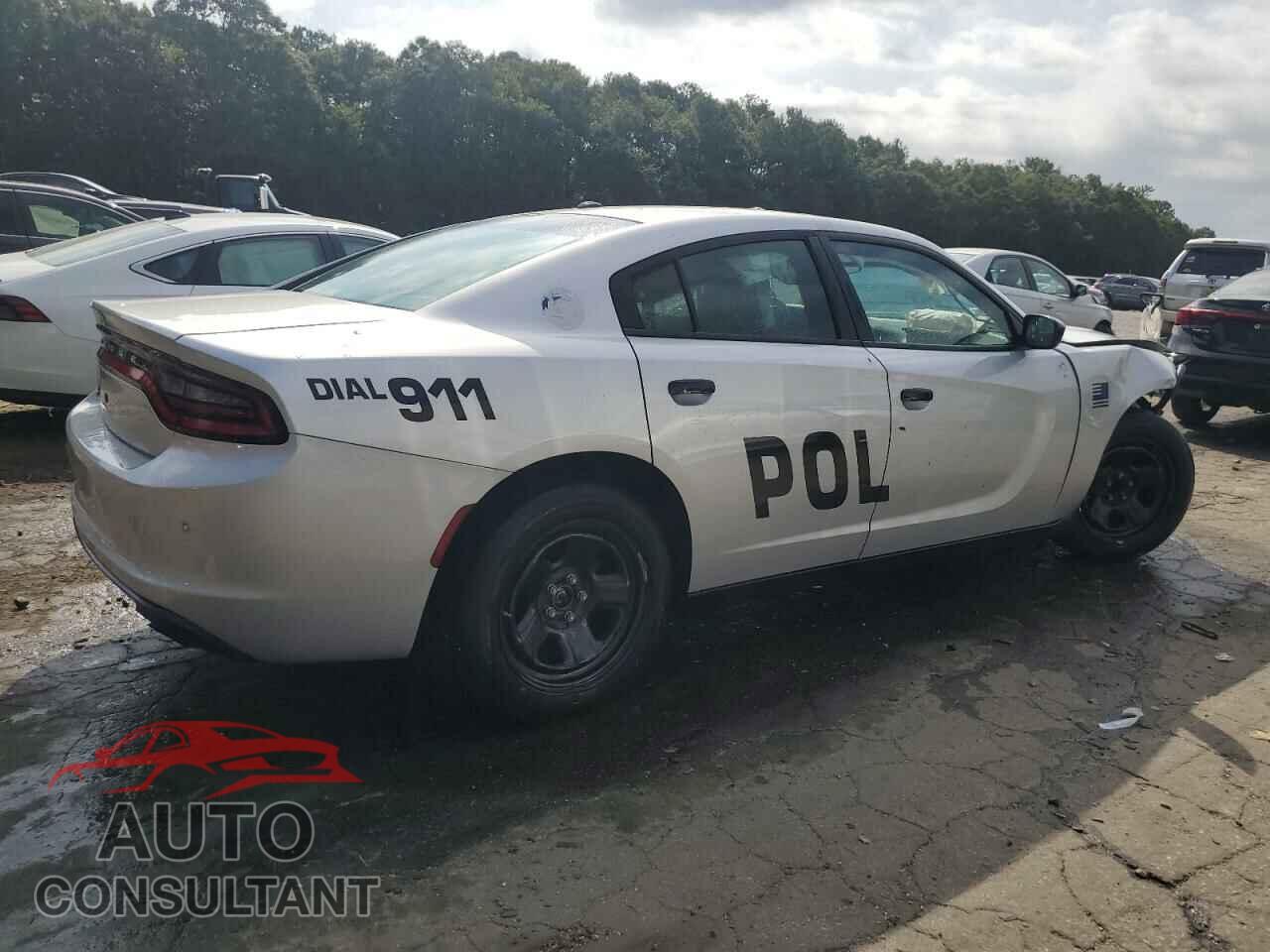 DODGE CHARGER 2019 - 2C3CDXAT7KH532934