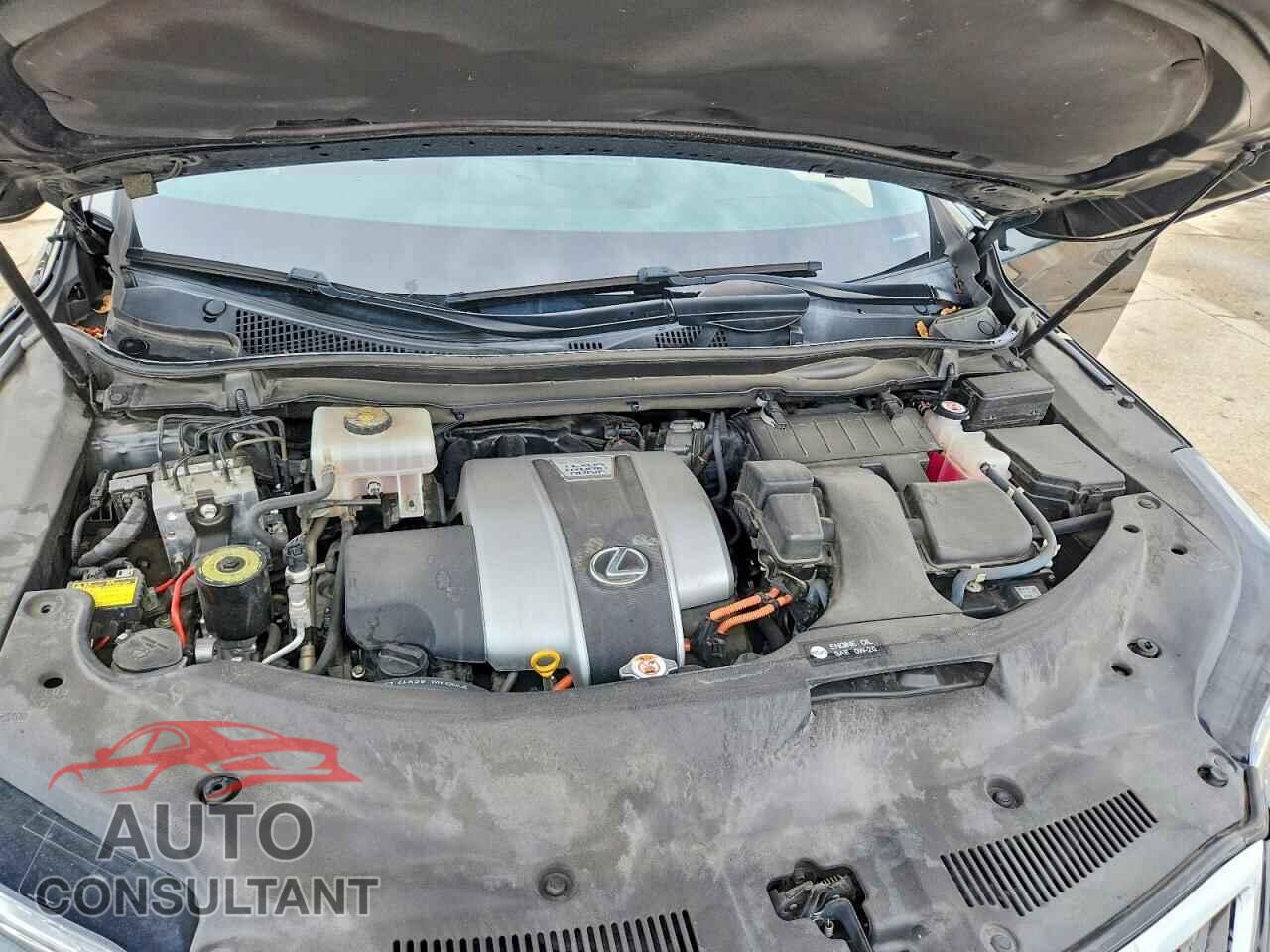 LEXUS RX450 2019 - 2T2BGMCA4KC033426