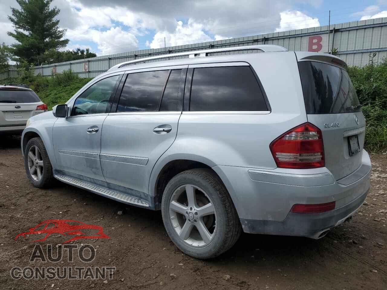 MERCEDES-BENZ GL-CLASS 2009 - 4JGBF71E19A444887