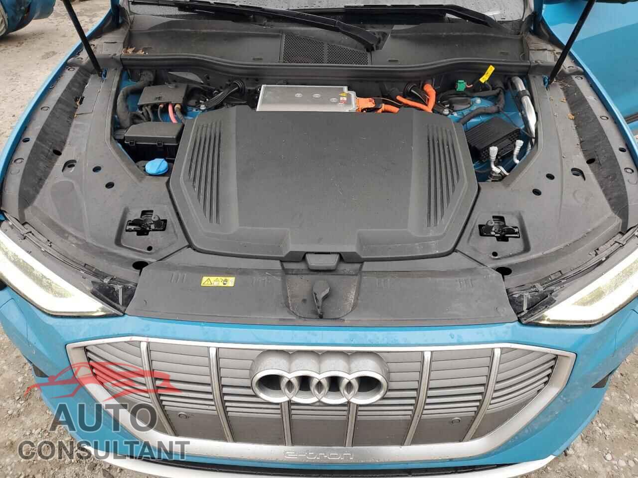 AUDI E-TRON 2019 - WA1VABGEXKB025103