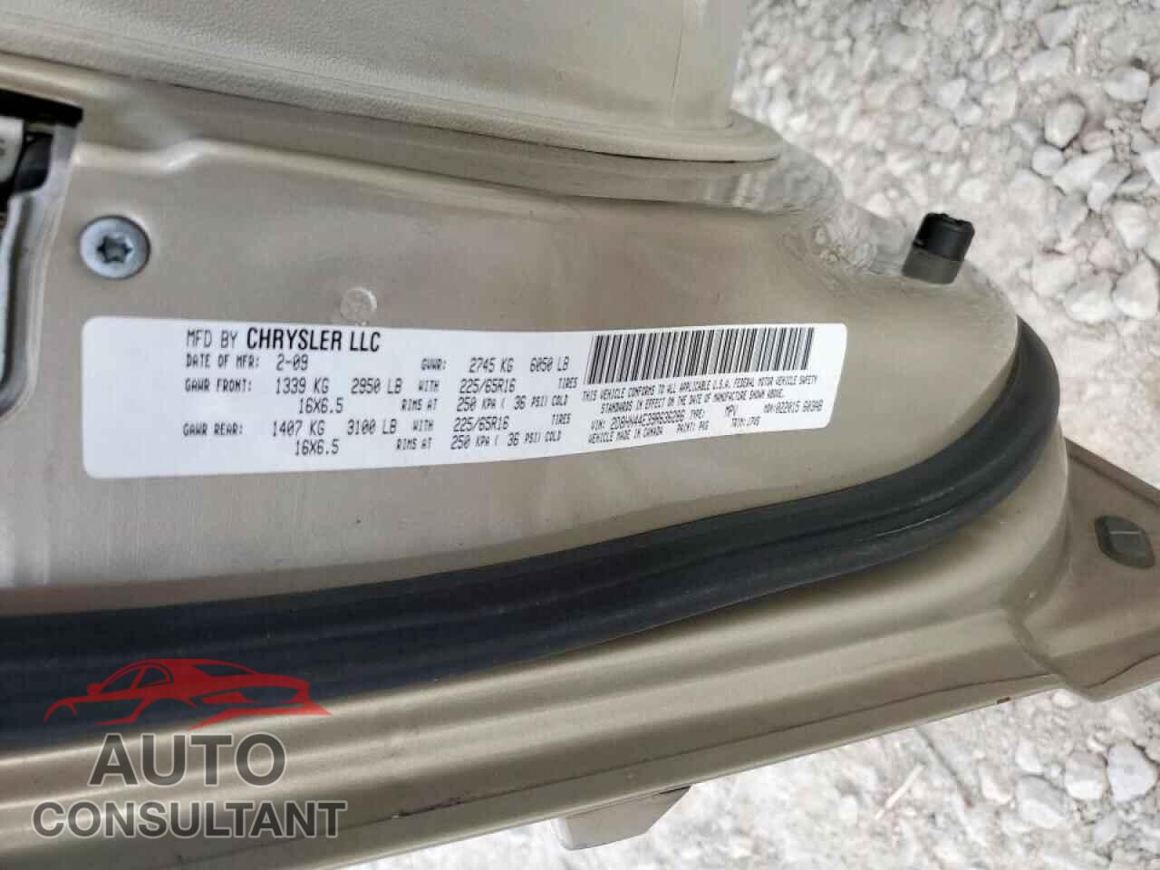 DODGE CARAVAN 2009 - 2D8HN44E39R636286