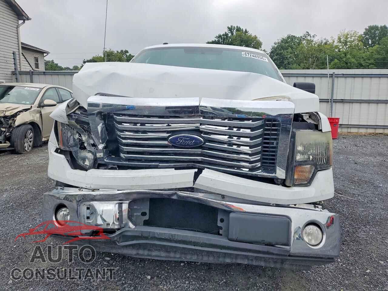 FORD F150 2011 - 1FTFW1CF6BFD34726