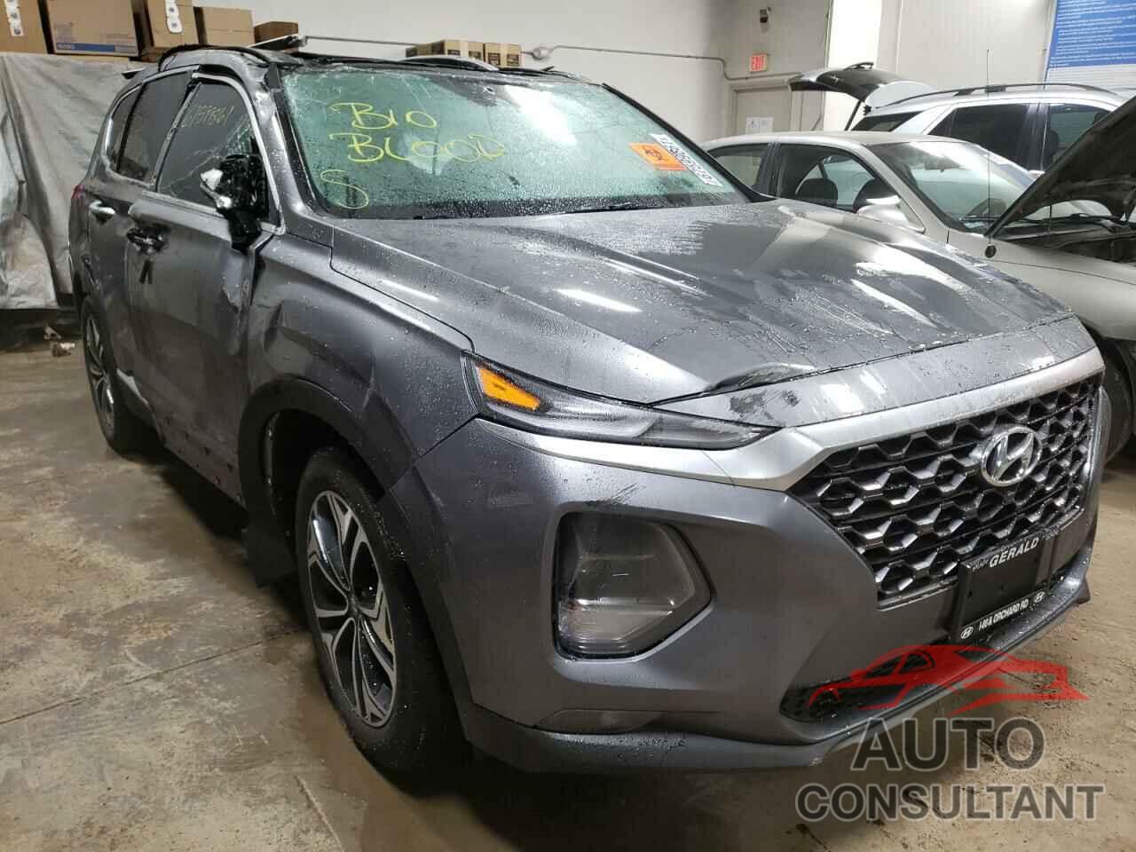 HYUNDAI SANTA FE 2019 - 5NMS5CAA8KH127424