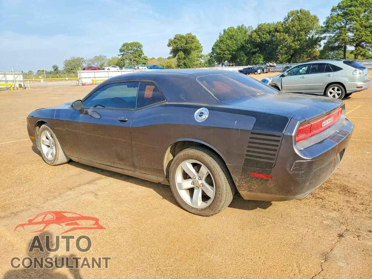 DODGE CHALLENGER 2013 - 2C3CDYAG7DH662904