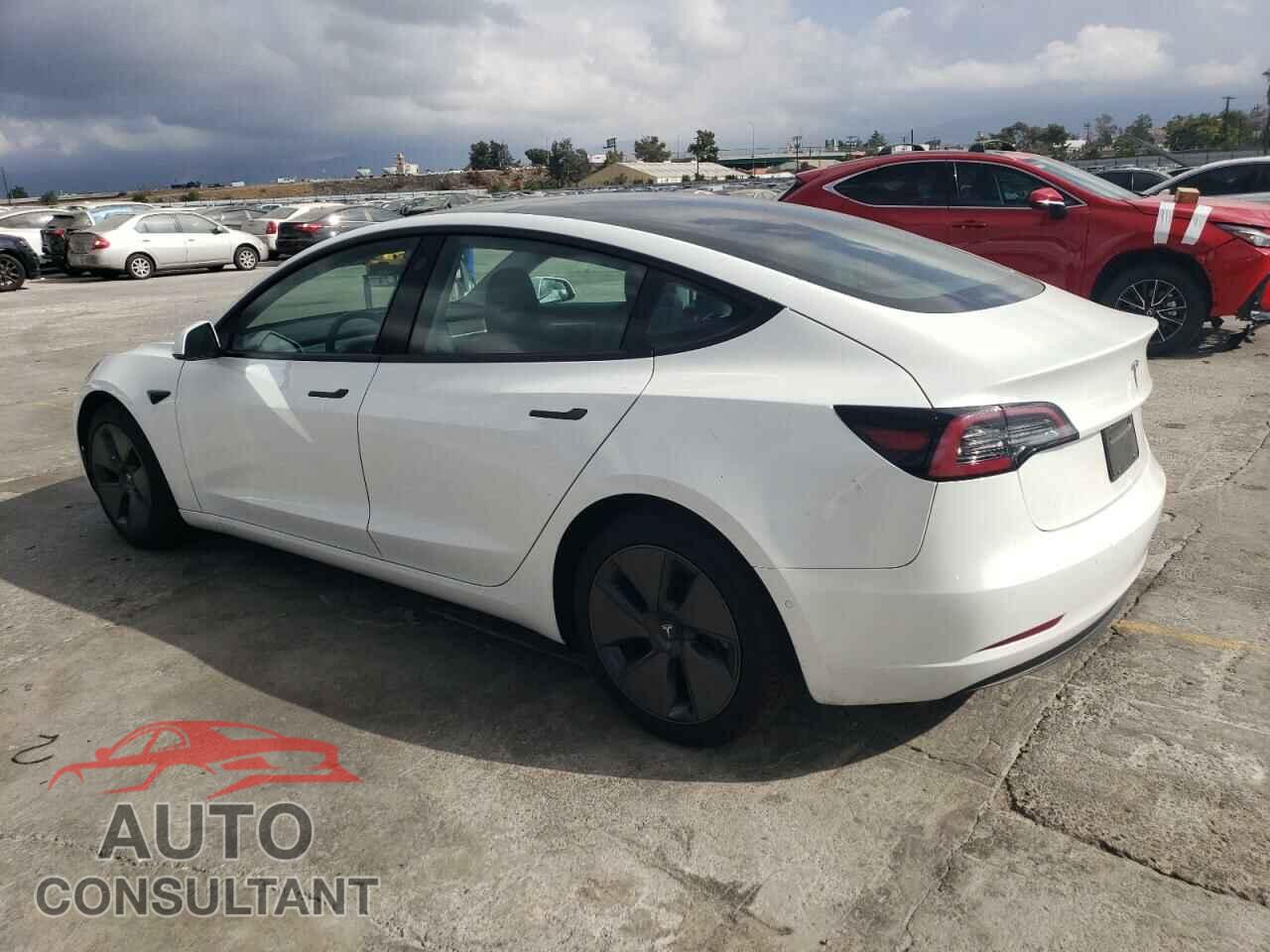 TESLA MODEL 3 2021 - 5YJ3E1EAXMF091596