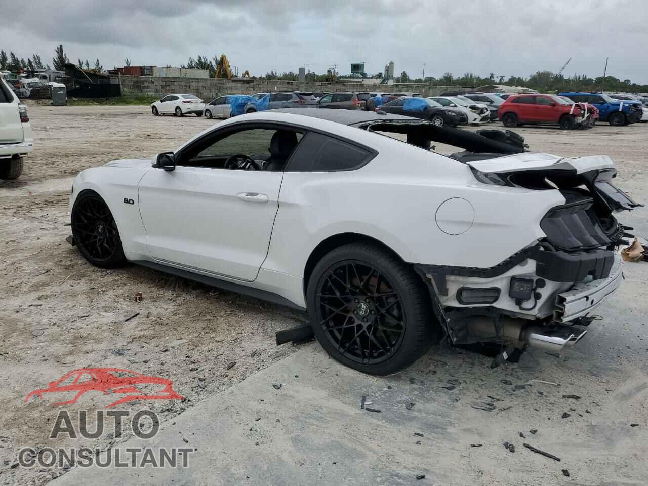 FORD MUSTANG 2019 - 1FA6P8CF6K5166877
