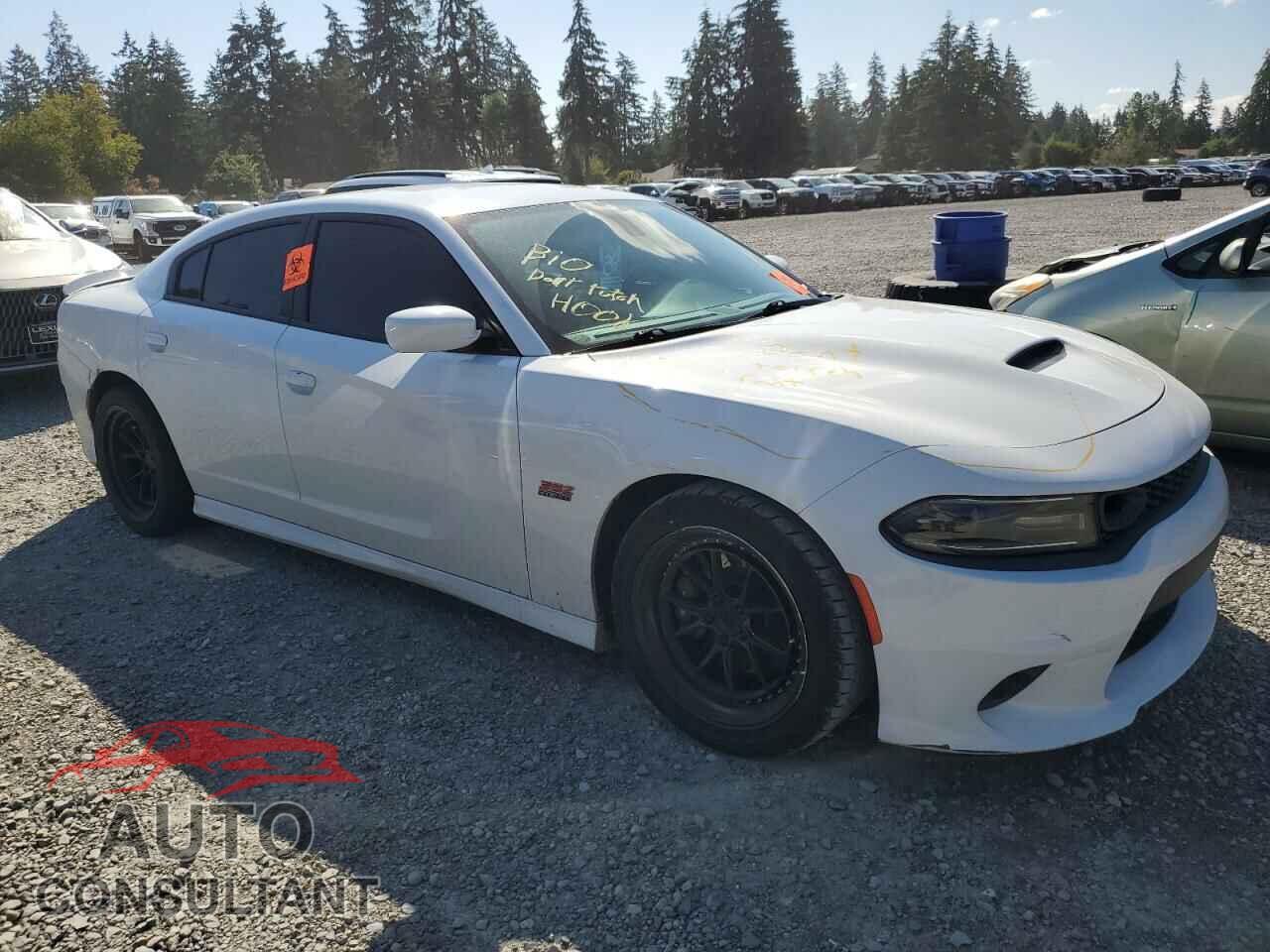 DODGE CHARGER 2019 - 2C3CDXGJ5KH665990