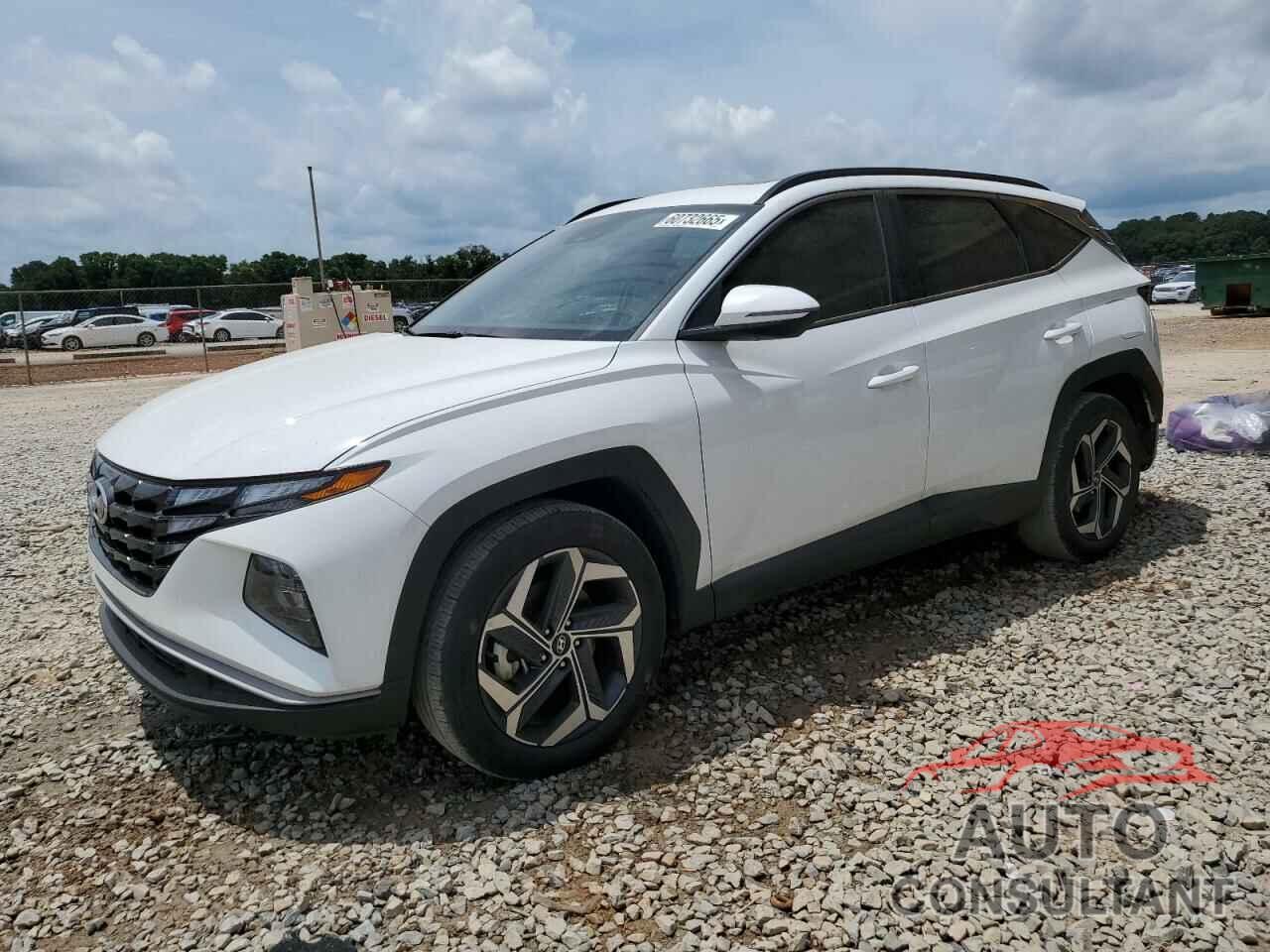 HYUNDAI TUCSON 2023 - 5NMJF3AE0PH293231