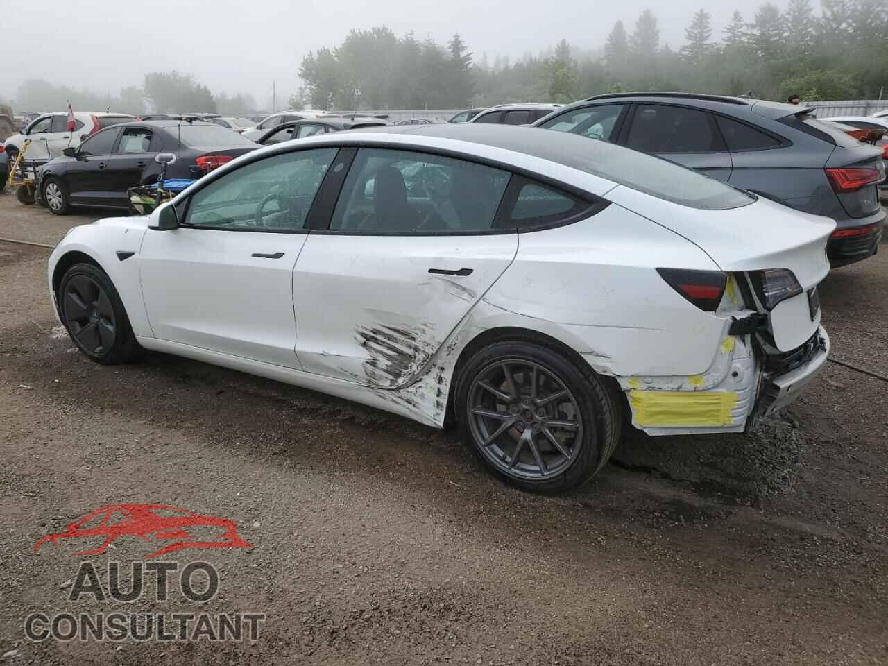 TESLA MODEL 3 2021 - 5YJ3E1EA6MF978676