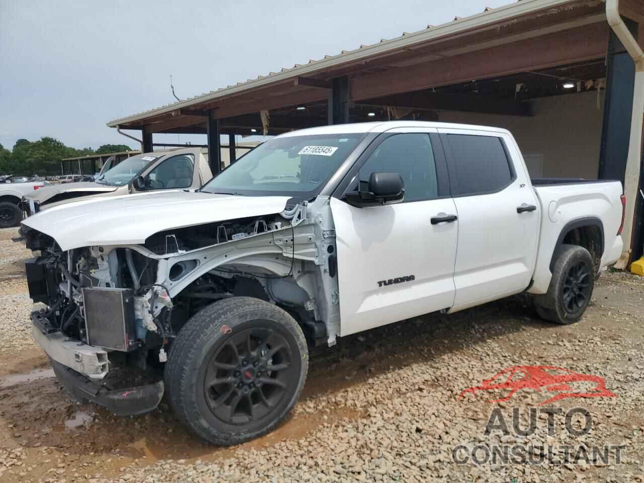 TOYOTA TUNDRA 2024 - 5TFLA5DB6RX142442