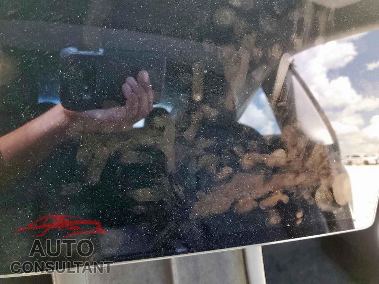 TESLA MODEL 3 2021 - 5YJ3E1EA0MF016356