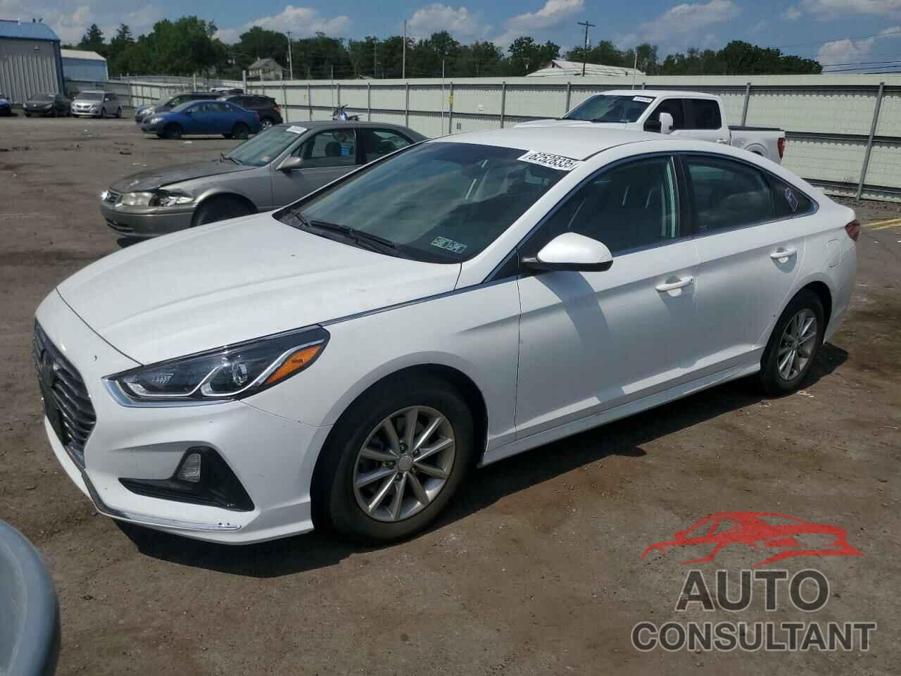 HYUNDAI SONATA 2019 - 5NPE24AF5KH800860