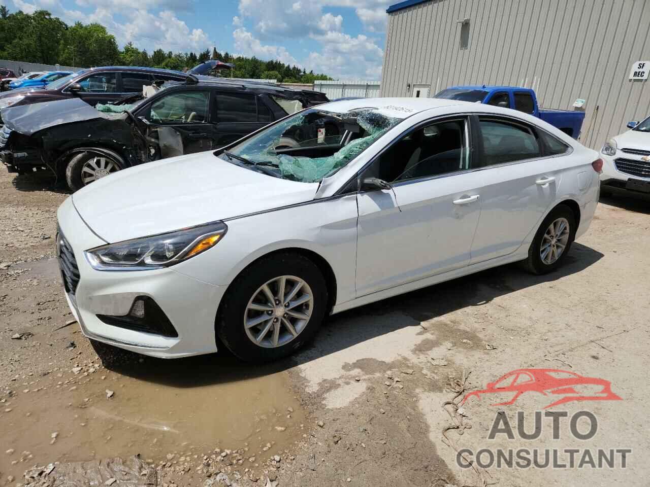HYUNDAI SONATA 2019 - 5NPE24AF2KH751360