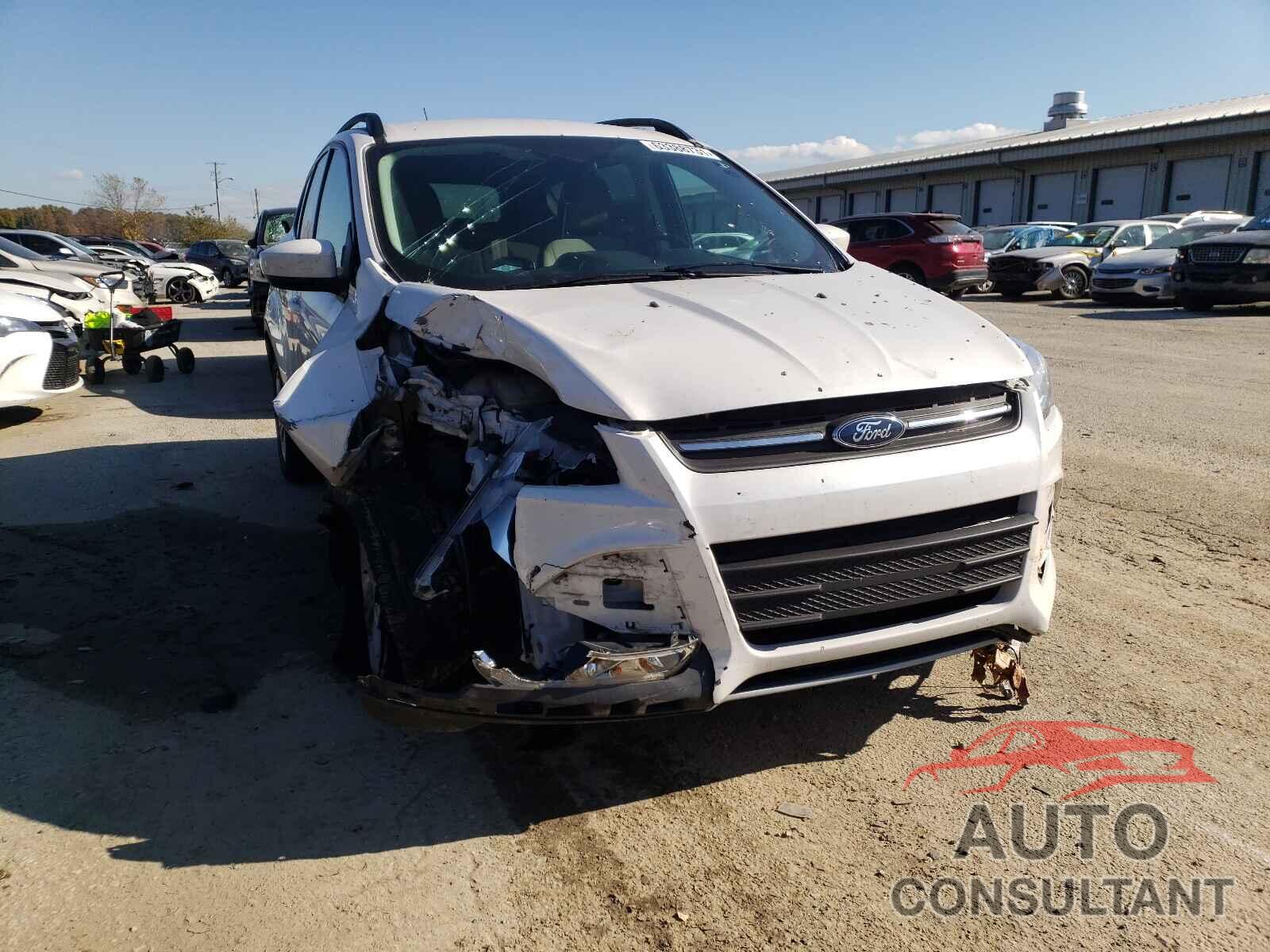 FORD ESCAPE 2016 - 1FMCU0GX8GUB92612