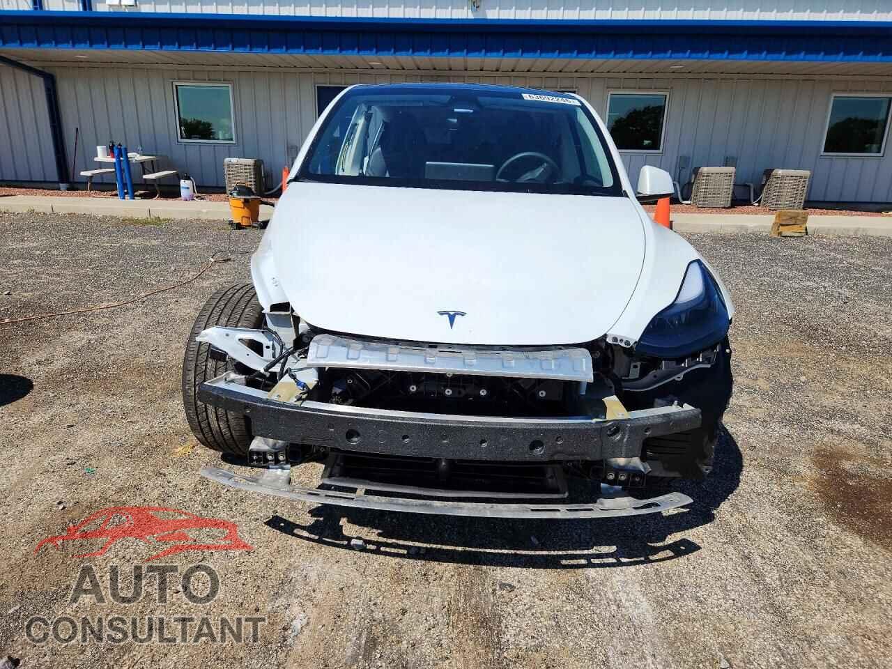 TESLA MODEL Y 2024 - 7SAYGDEE9RF169588