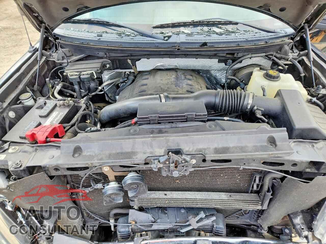 FORD F150 2011 - 1FTFX1CT7BFD03682
