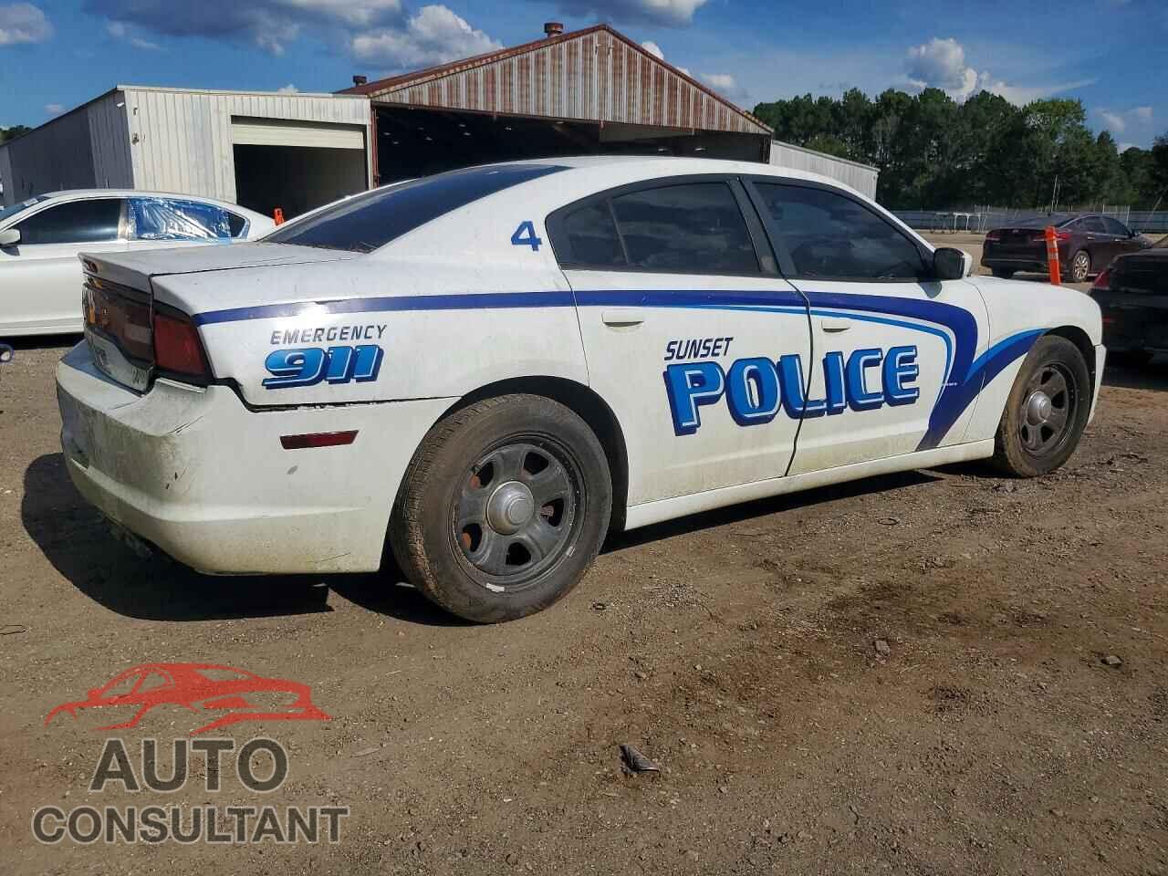 DODGE CHARGER 2014 - 2C3CDXAT5EH348919