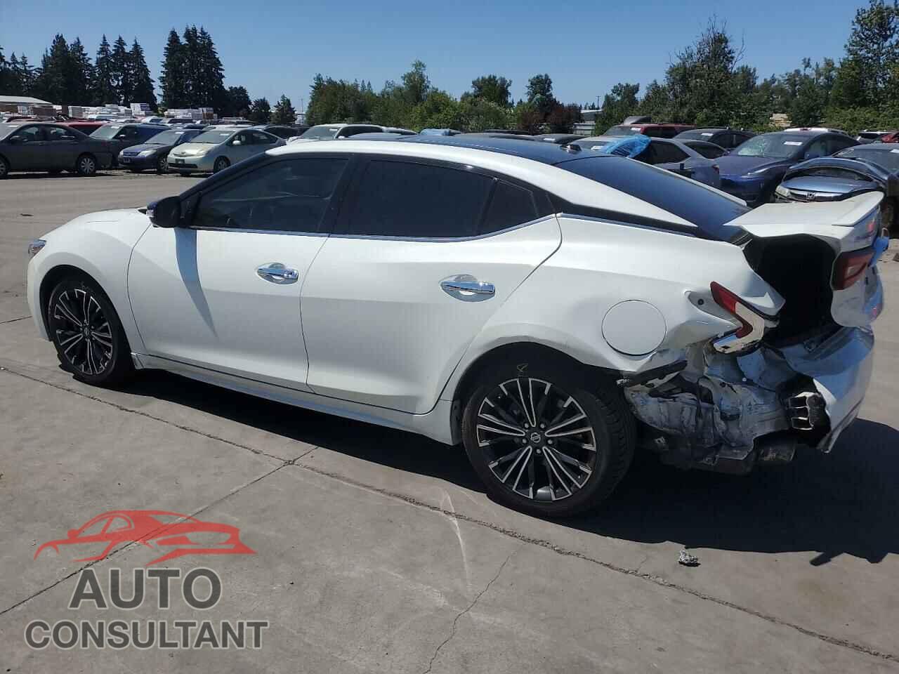 NISSAN MAXIMA 2017 - 1N4AA6AP2HC375016