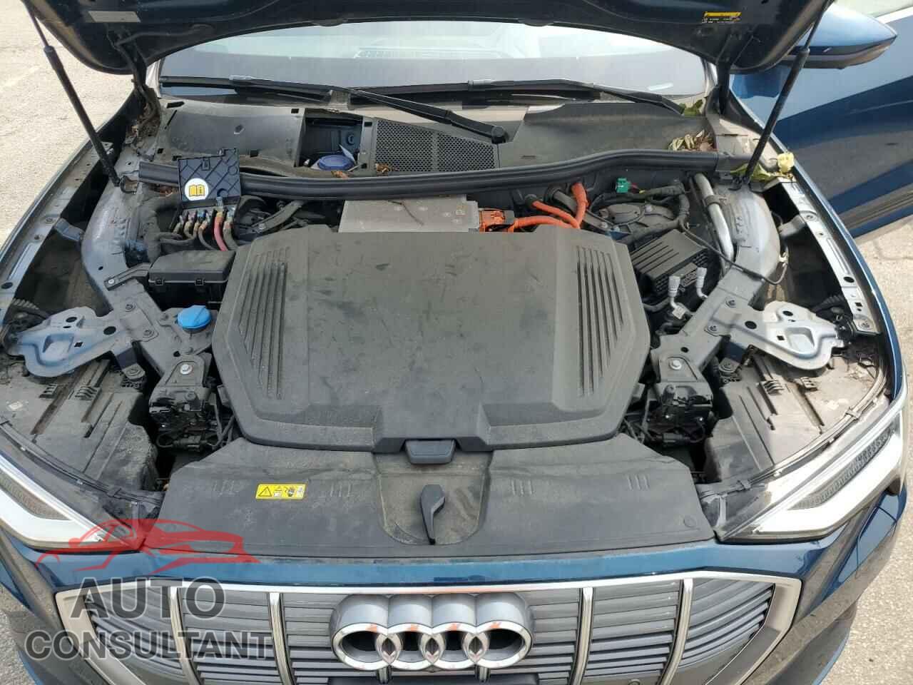 AUDI E-TRON 2019 - WA1VAAGE0KB018168