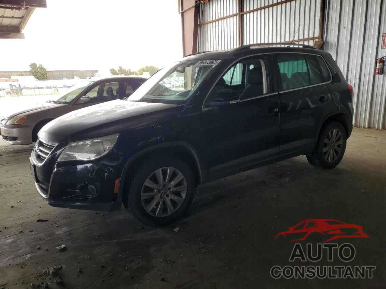 VOLKSWAGEN TIGUAN 2009 - WVGAV75N99W002354