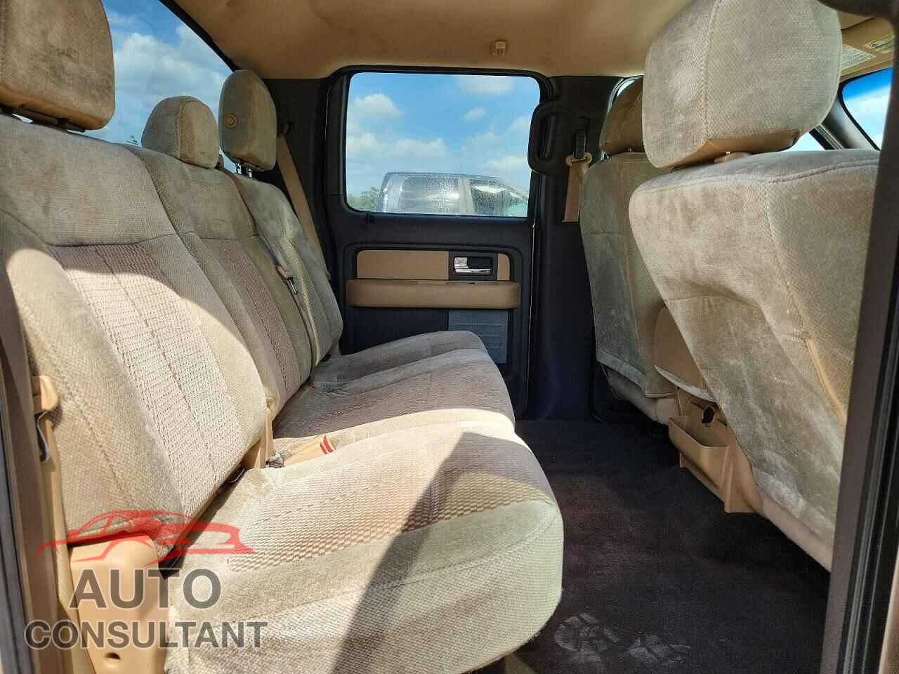FORD F150 2013 - 1FTFW1CFXDFD55663
